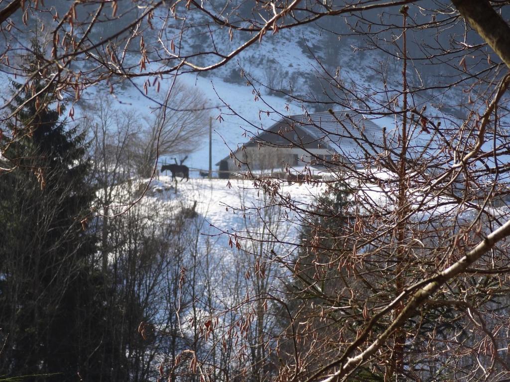 Ferme Auberge A La Colline Ferdrupt Экстерьер фото