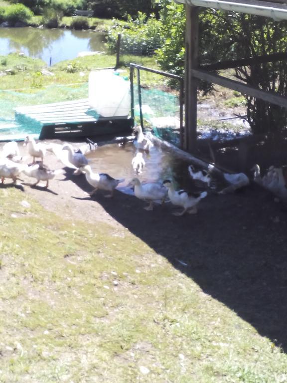 Ferme Auberge A La Colline Ferdrupt Экстерьер фото