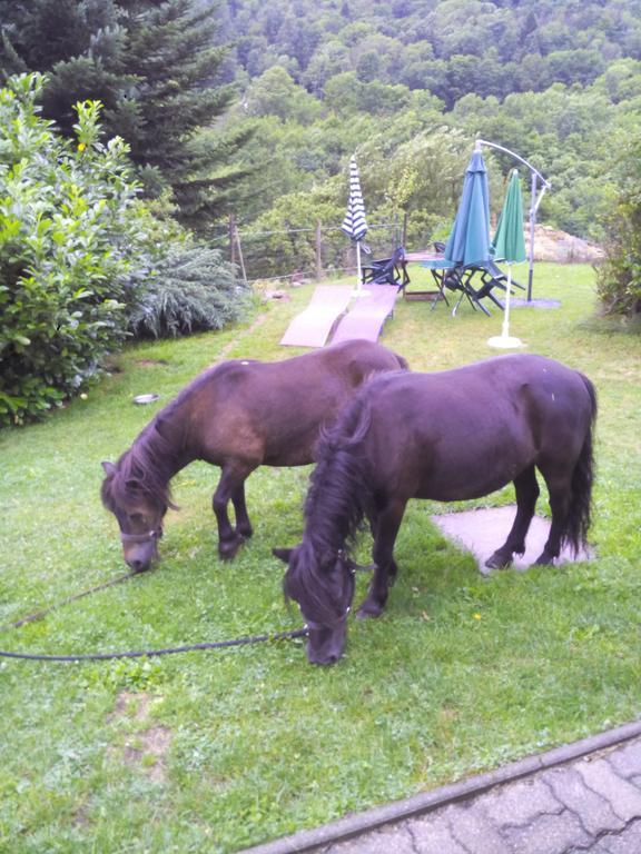 Ferme Auberge A La Colline Ferdrupt Экстерьер фото