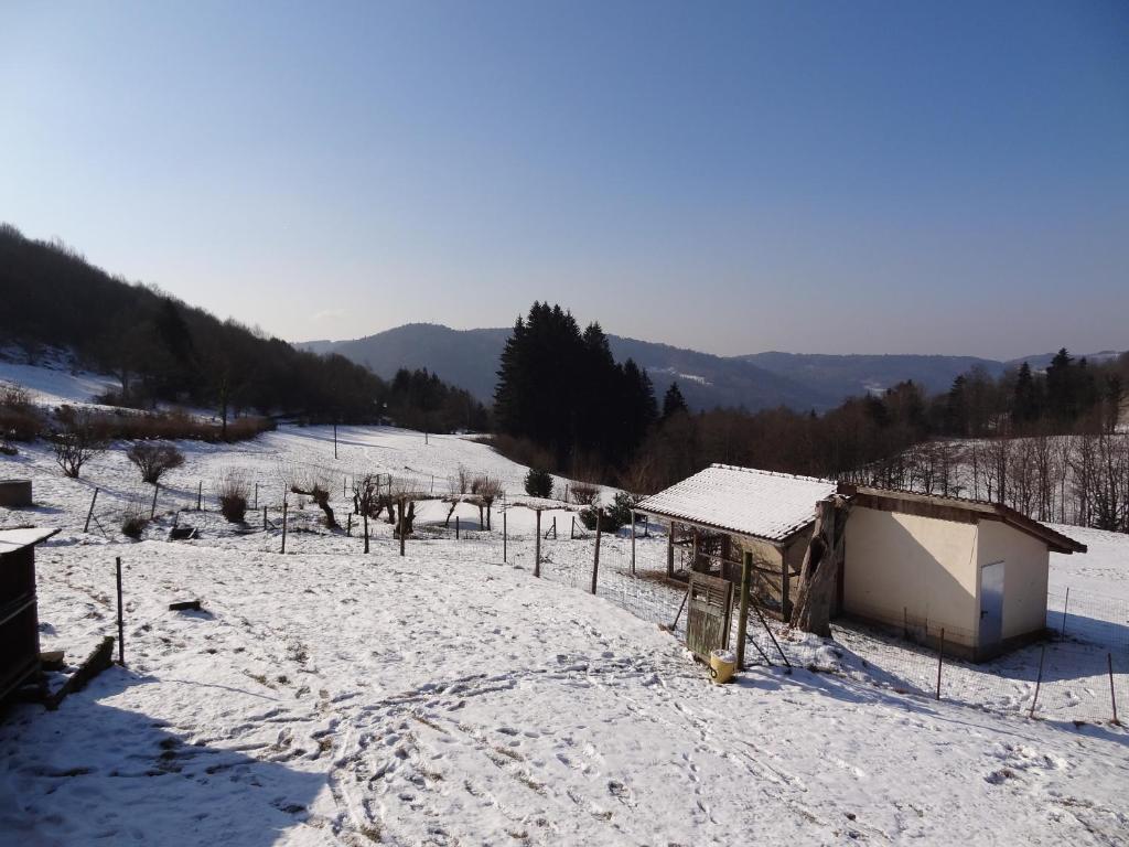 Ferme Auberge A La Colline Ferdrupt Экстерьер фото