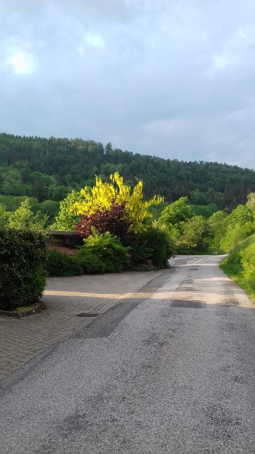 Ferme Auberge A La Colline Ferdrupt Экстерьер фото